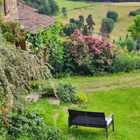 Eco-Gite Cottage Panoramique, Terrasses, Baby Foot, 150 M2 Renove Et Agrandi En 2024, Activites Proposees Champagnac-le-Vieux 外观 照片