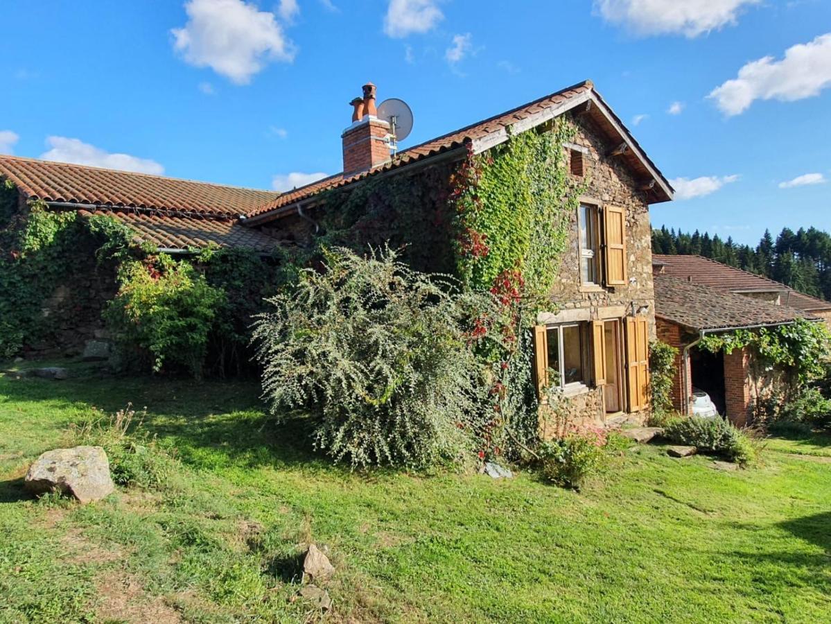 Eco-Gite Cottage Panoramique, Terrasses, Baby Foot, 150 M2 Renove Et Agrandi En 2024, Activites Proposees Champagnac-le-Vieux 外观 照片