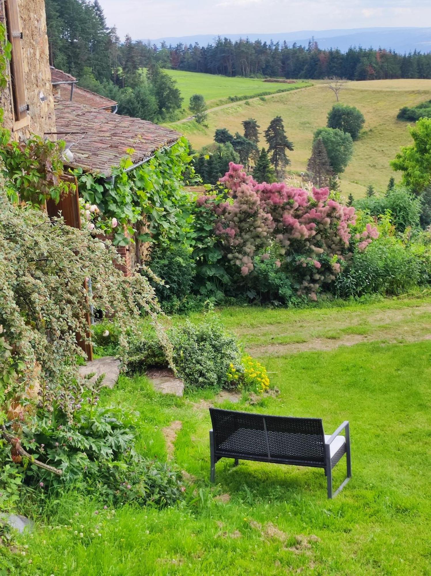 Eco-Gite Cottage Panoramique, Terrasses, Baby Foot, 150 M2 Renove Et Agrandi En 2024, Activites Proposees Champagnac-le-Vieux 外观 照片